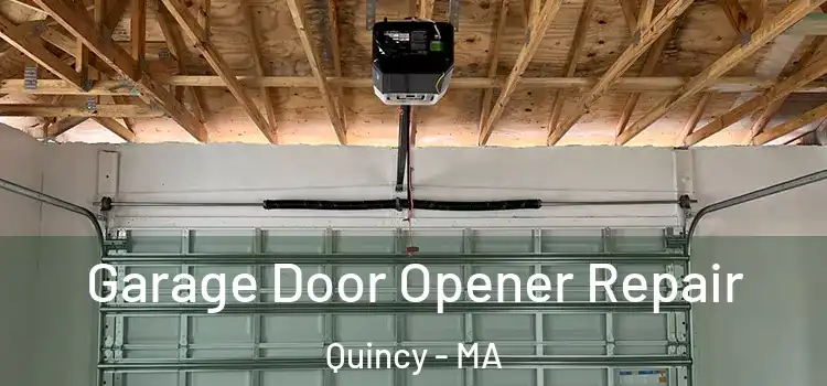  Garage Door Opener Repair Quincy - MA