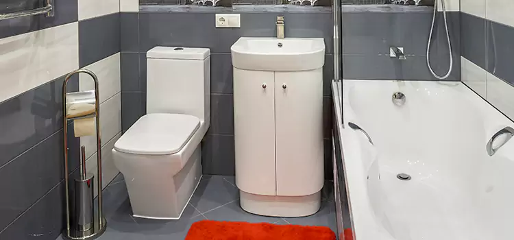 Hansgrohe Shaving Mirror Quincy