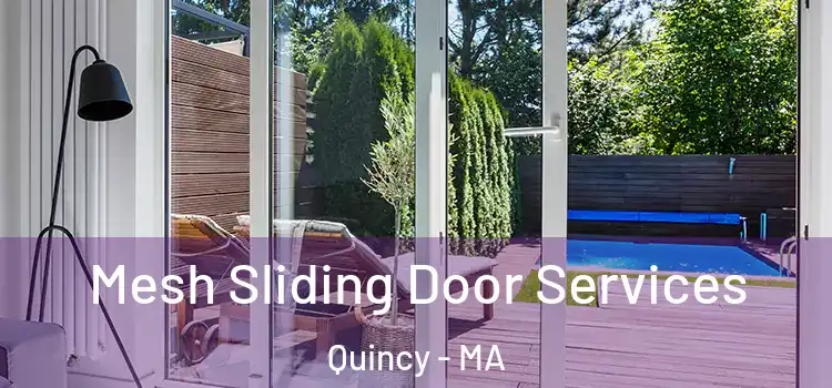 Mesh Sliding Door Services Quincy - MA